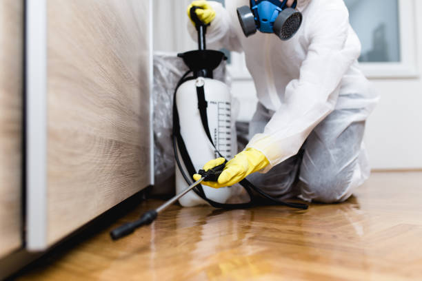 Best Wildlife Control Services  in Bartonvle, IL