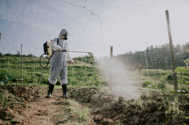 Best Commercial Pest Control Services  in Bartonvle, IL