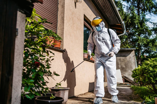 Best Pest Removal Services  in Bartonvle, IL