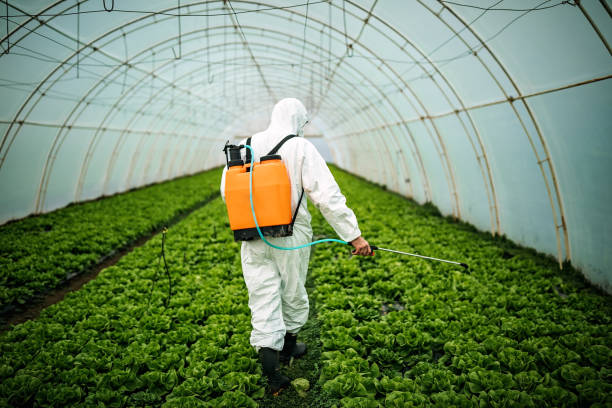 Best Pest Control Near Me  in Bartonvle, IL