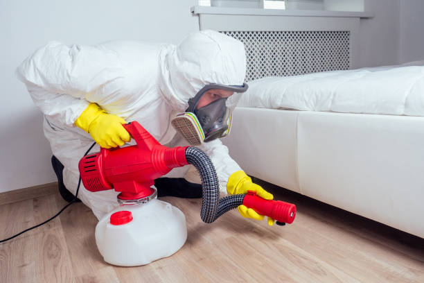 Best Mosquito Control Services  in Bartonvle, IL