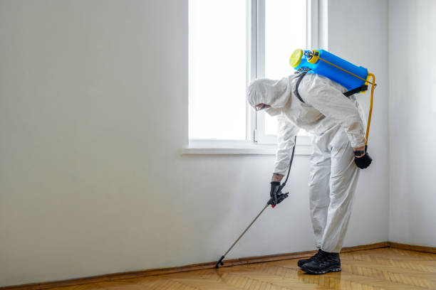 Best Exterminator Services  in Bartonvle, IL