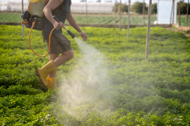 Pest Control for Restaurants in Bartonville, IL
