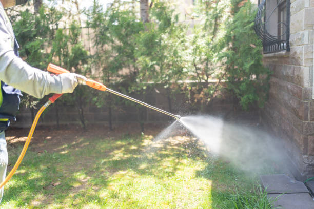 Best Pest Control Near Me in Bartonville, IL