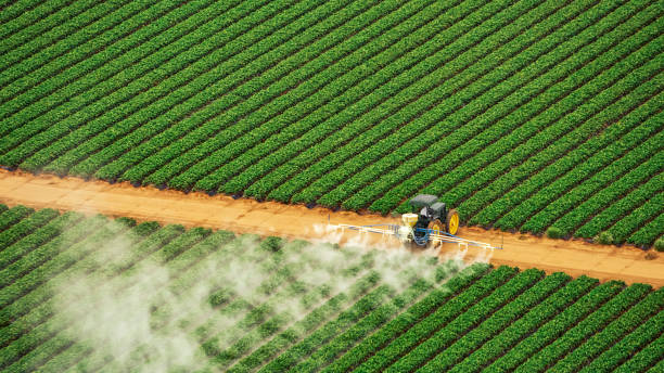 Best Pest Inspection Near Me  in Bartonvle, IL