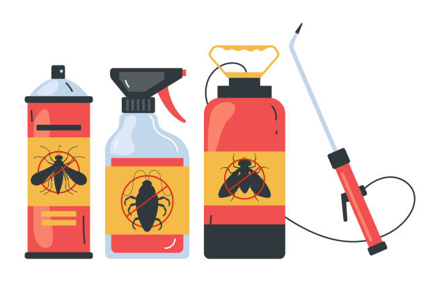 Best Spider Control Near Me  in Bartonvle, IL