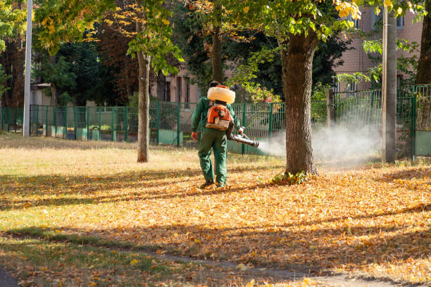 Best Local Pest Control Services  in Bartonvle, IL
