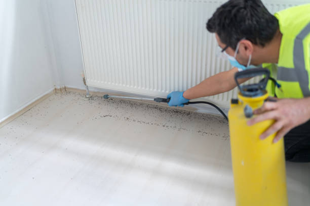 Reliable Bartonville, IL Pest Control Solutions